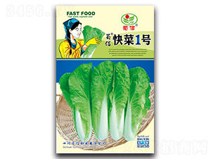 快菜1號-青菜種子-蜀信種業