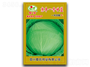 京豐一號-甘藍種子-蜀信種業