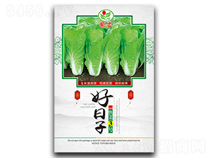 好日子-青菜種子-蜀信種業(yè)