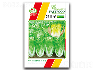 好日子快菜2號-青菜種子-蜀信種業