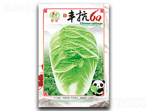 豐抗60-白菜種子-蜀信種業(yè)