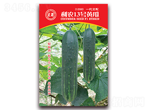 利農13號黃瓜（1200）-黃瓜種子-和利農