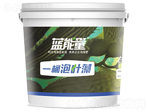 一桶泡葉藻-藍能量