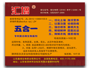 專利復合微生物菌劑-五合一-匯增-鑫增生物