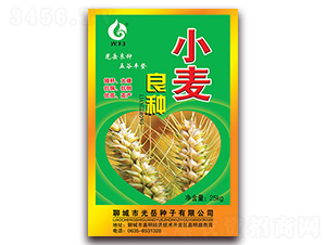 小麥良種-光岳種子