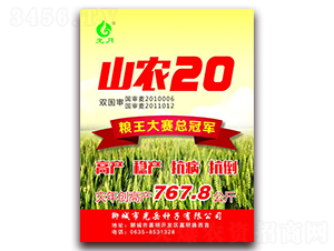 山農(nóng)20-小麥種子-光岳種子