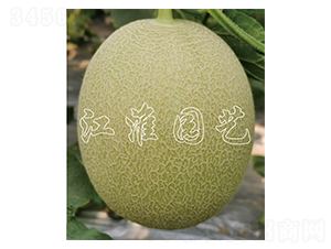 2̖-ϷN-@ˇ