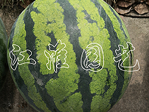 2̖(ho)-ϷN-@ˇ