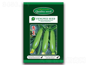 秀玉-菜用西葫蘆種子-金鵬種業