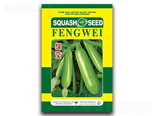 綠瑩-菜用西葫蘆種子-金鵬種業