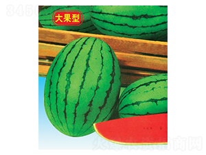 紺t-ϷN-΢ȷNI