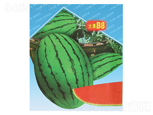 紺tB8-ϷN-΢ȷNI