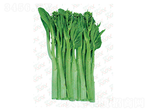 望春廳菜心-青菜種子-微萌種業
