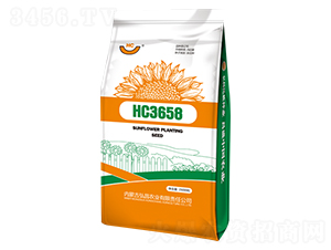 HC3658-å‘æ—¥è‘µç¨®å­-å¼˜æ˜Œè¾²æ¥­