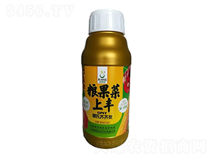 GPlT那氏齊齊發誘導劑-糧果菜上豐-奧圣農業