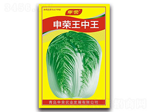 申榮王中王-大白菜種子-申榮農業