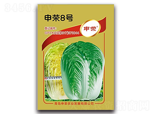 申榮8號-大白菜種子-申榮農業