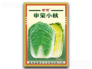 申榮小秋-大白菜種子-申榮農業