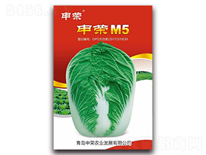 申榮M5-大白菜種子-申榮農業
