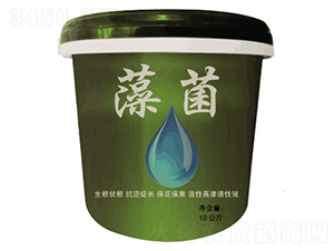 藻菌-豐盛-便雅憫