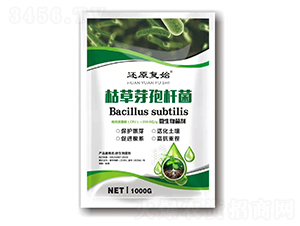 枯草芽孢桿菌-還原復始-泉霖銘晟