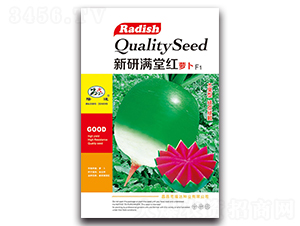 新研滿堂紅蘿卜F1-蘿卜種子-隆達