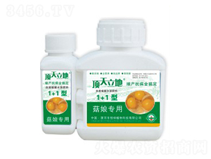 菇娘專(zhuān)用含腐植酸水溶肥料（1+1型）-頂天立地-恒綠植物