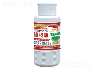 花生專用植物康-頂天立地-恒綠植物