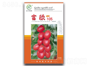 富欣105-番茄種子-富宇種苗