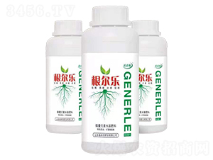 根爾樂-琪琪格-嘉森寶