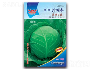 美味甘藍-甘藍種子-科翔種業