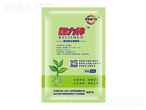 æ£µåŠ›ç¥žå¾©åˆå¾®ç”Ÿç‰©èŒåŠ‘-æ–‡æ°æ£µåŠ›å¯¶