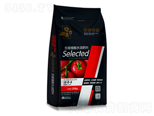 番茄專用含腐植酸水溶肥料15-0-5-奧力給