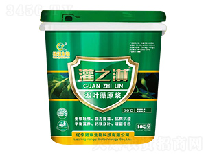 泡葉藻原漿-灌之淋-揚琪生物