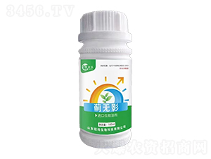 薊無影-冠瑪生物
