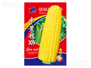 SŴ309һs-׷N-ԴrI