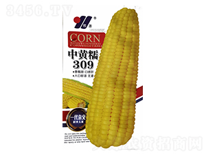 SŴ309ɫb-׷N-ԴrI