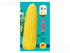 SŴ309-׷N-ԴrI