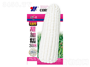Ŵ308-׷N-ԴrI