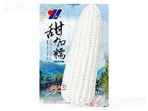 Ŵ-׷N-ԴrI