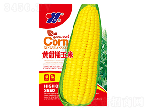 SŴ׷N-ԴrI