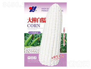 Ŵ-׷N-ԴrI