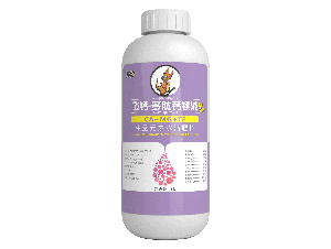 中量元素水溶肥-飛鈣-多肽鈣鎂液-賽致-格新農業