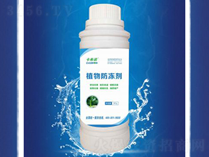 植物防凍劑-卡希諾