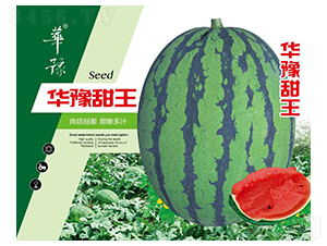 華豫甜王-西瓜種子-邢源農業