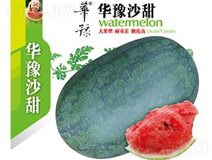 華豫沙甜-西瓜種子-邢源農業