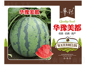 華豫美都-西瓜種子-邢源農業