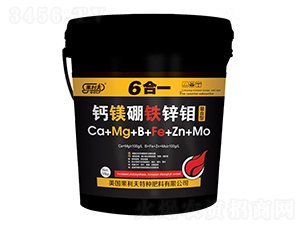 鈣鎂硼鐵鋅鉬六合一螯合肥-果利夫