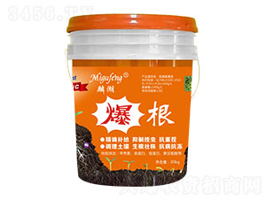 爆根-麟湖生物