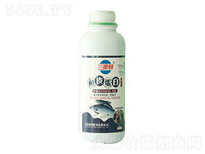1000gm˹~Ƥ-GչʘI